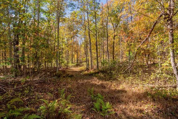 $610,000 | 5531 Franklin Pike Southeast, Floyd, VA 24091