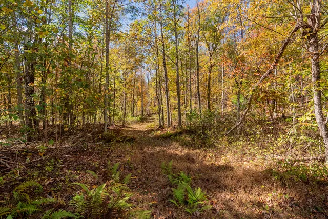 $650,000 | 5531 Franklin Pike Southeast, Floyd, VA 24091