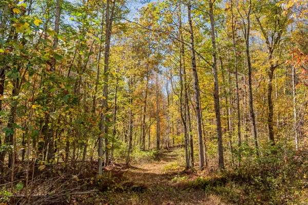 $610,000 | 5531 Franklin Pike Southeast, Floyd, VA 24091