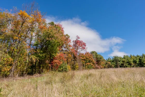 $610,000 | 5531 Franklin Pike Southeast, Floyd, VA 24091