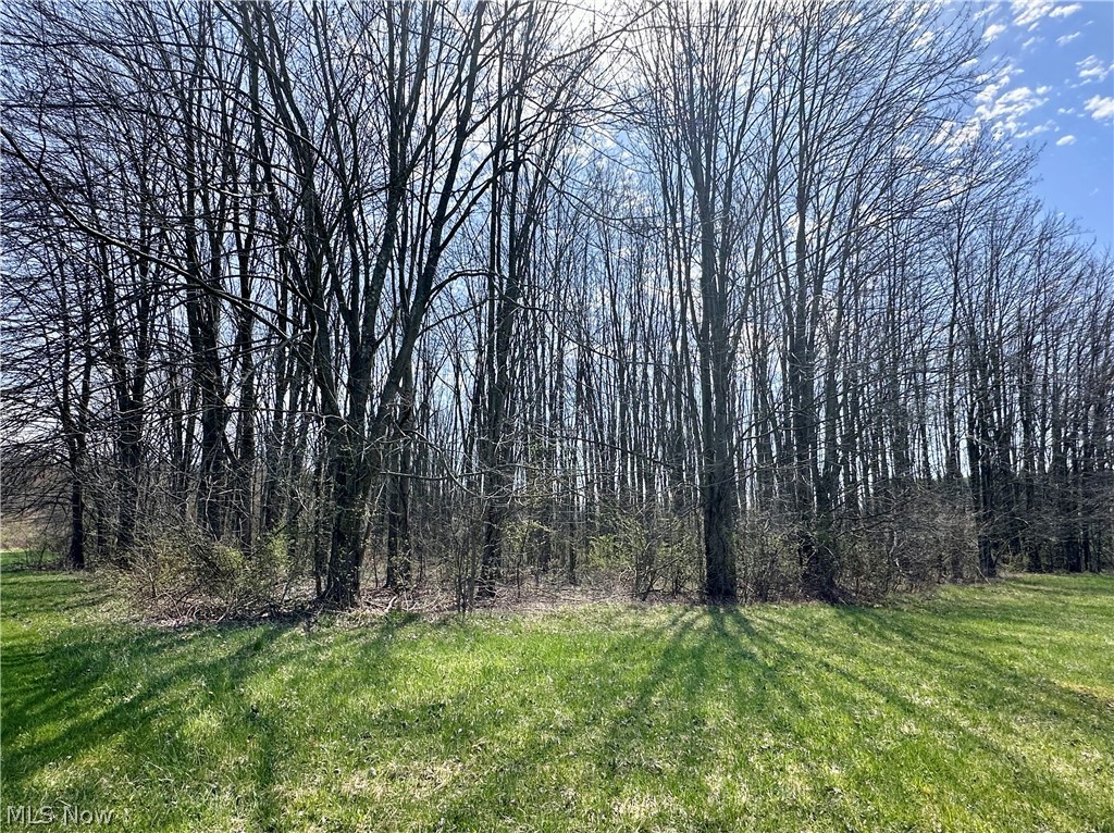Durst Clagg Road Cortland, OH 44410 - Photo 2 of 3 Gallery Image 2
