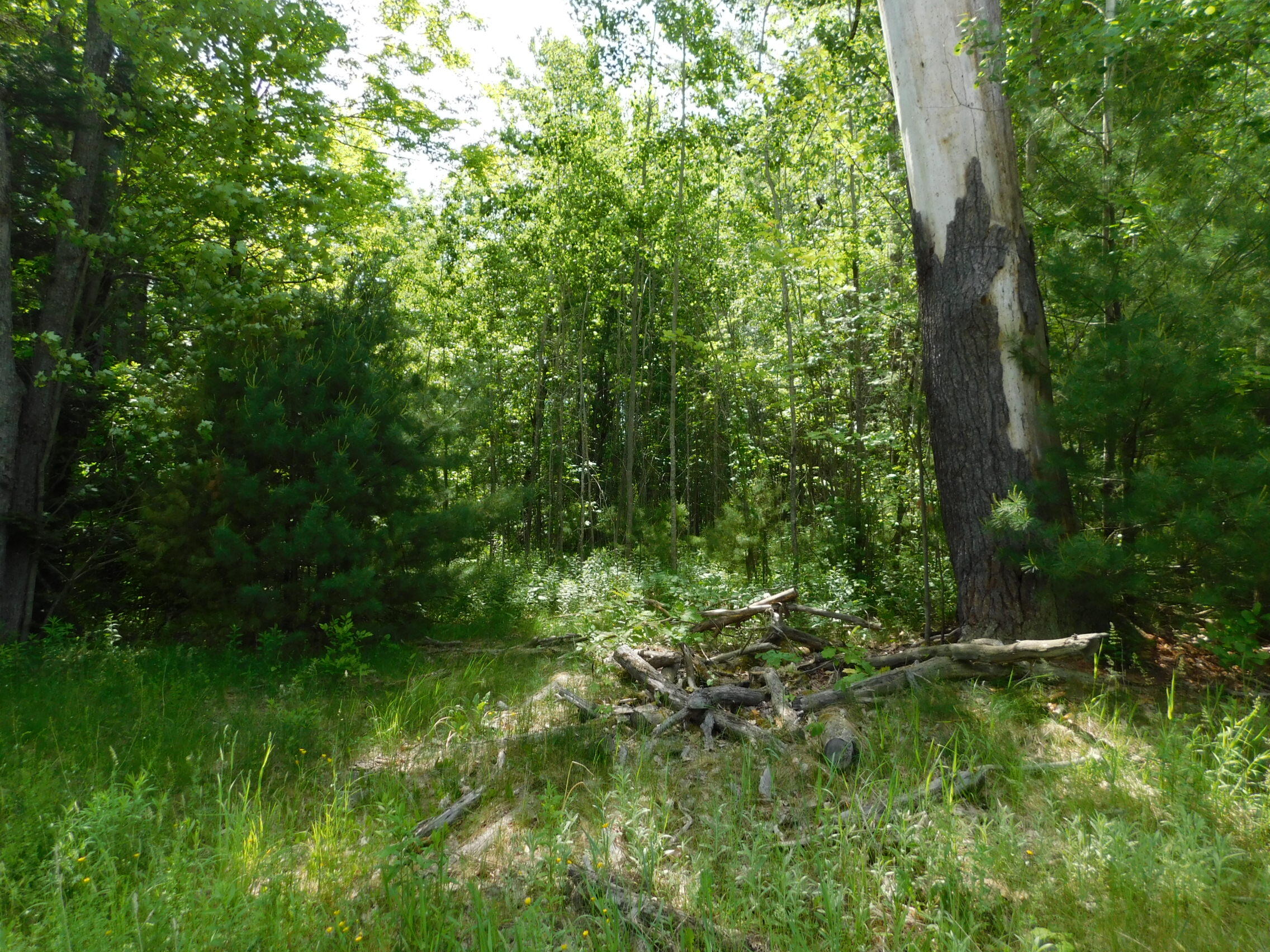 244 Canaan Road Hartland, ME 04943 - Photo 2 of 8
