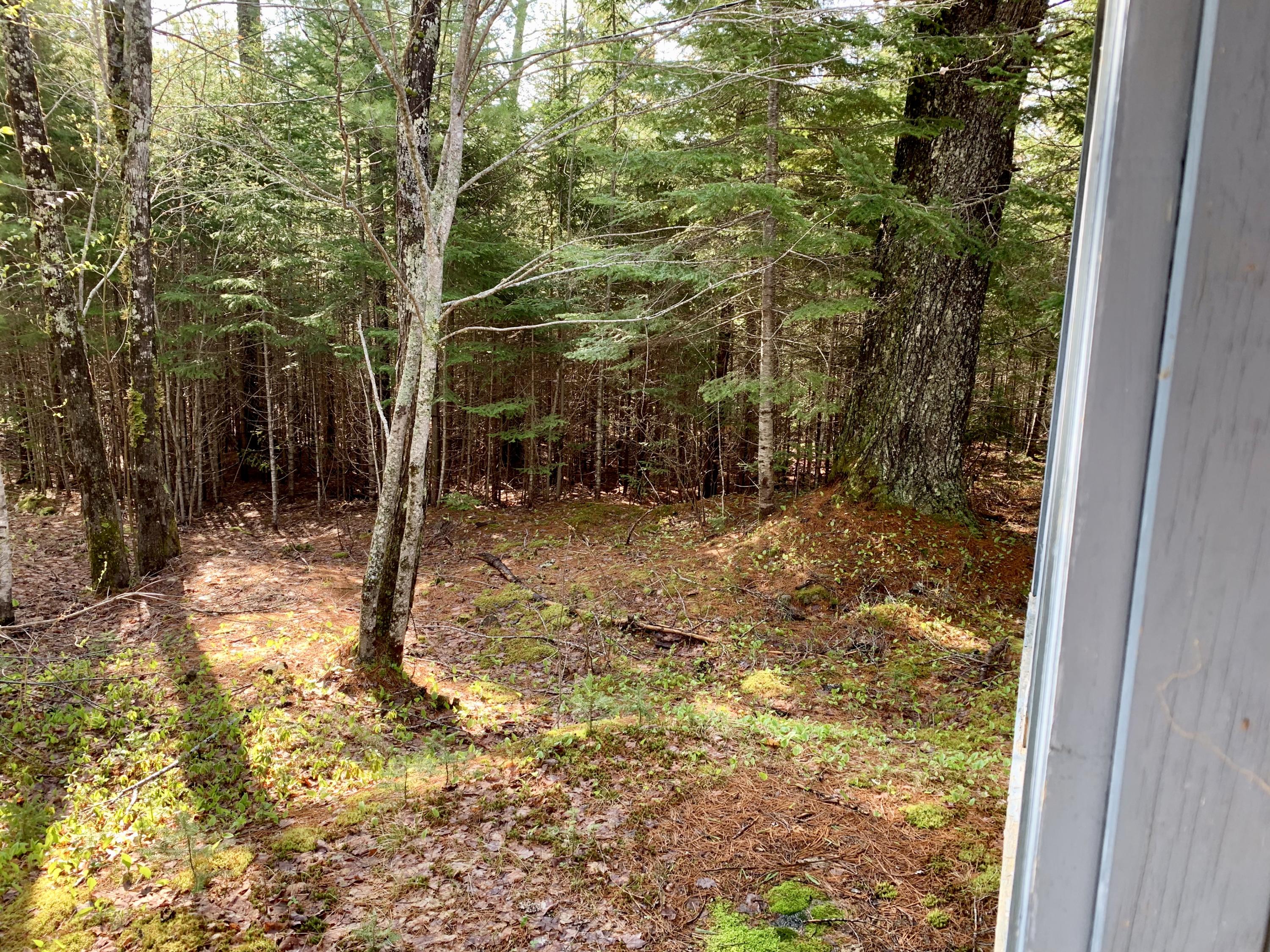 5 F Northfield Road Machias, ME 04654 - Photo 14 of 33 fullsizeoutput_153d