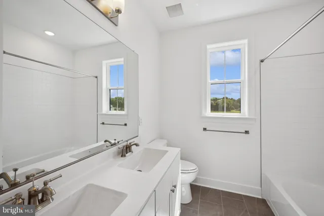 a bathroom with a sink and a toilet