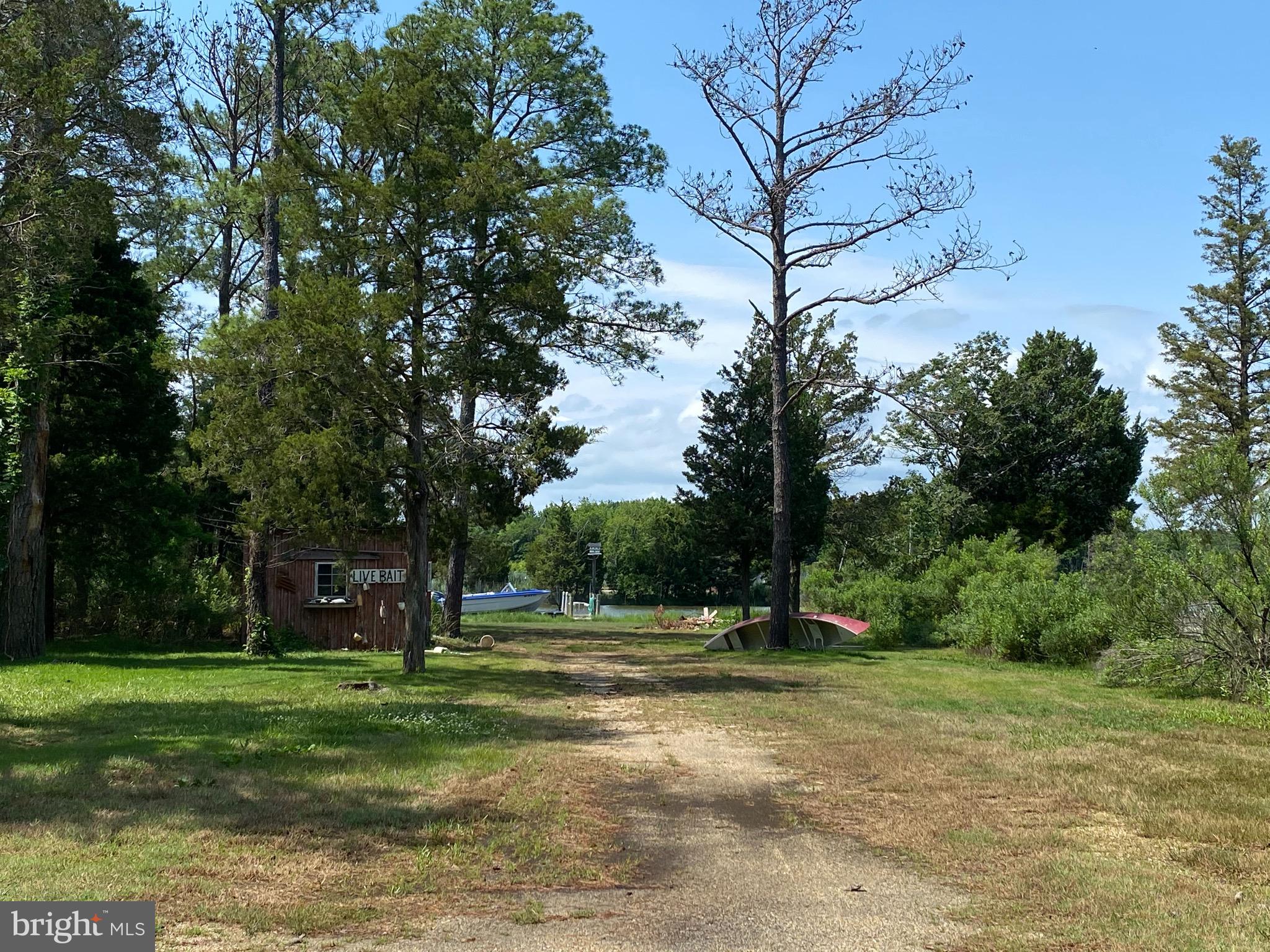 45184 Lighthouse Road Piney Point, MD 20674 - Photo 12 of 113