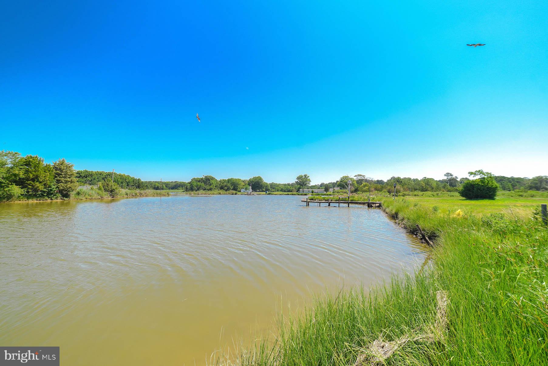 45184 Lighthouse Road Piney Point, MD 20674 - Photo 100 of 113