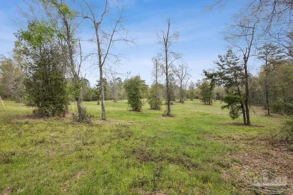 a view of a yard with a tree