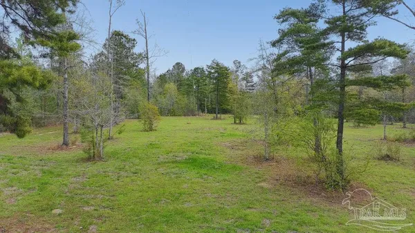 a big yard with lots of green space and trees
