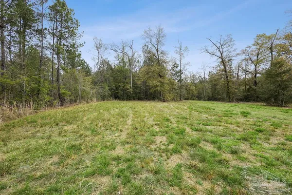 a view of a field with trees in the background