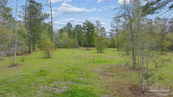 a view of outdoor space with trees all around