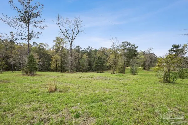 a view of outdoor space with trees all around