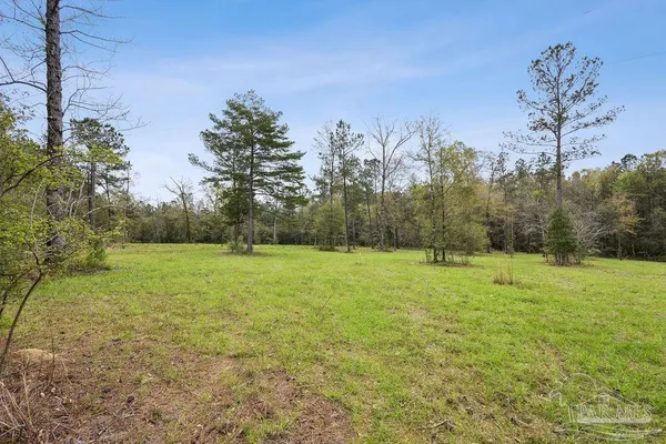a view of outdoor space with trees all around
