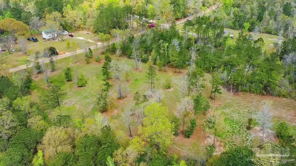 a view of yard with green space