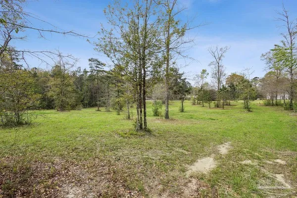 a view of a field with tree s