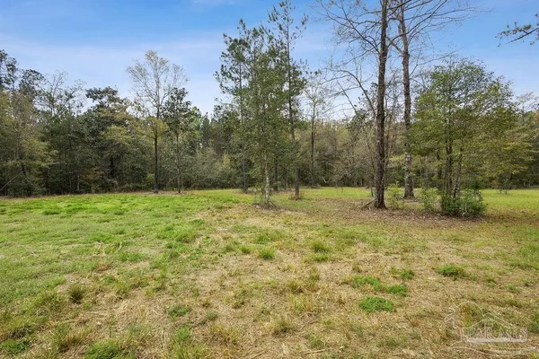 a backyard of a house with lots of green space
