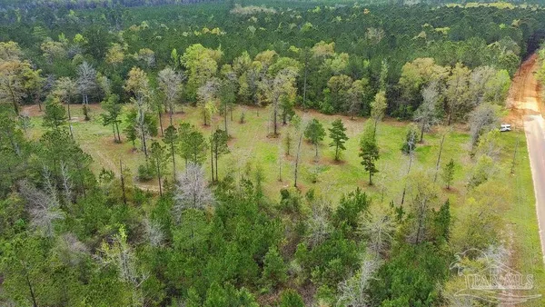 a view of residential green space
