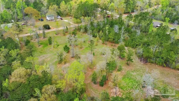 a view of yard with green space