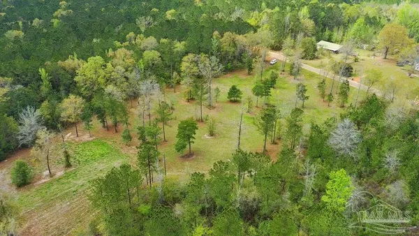a view of a big yard with lots of bushes