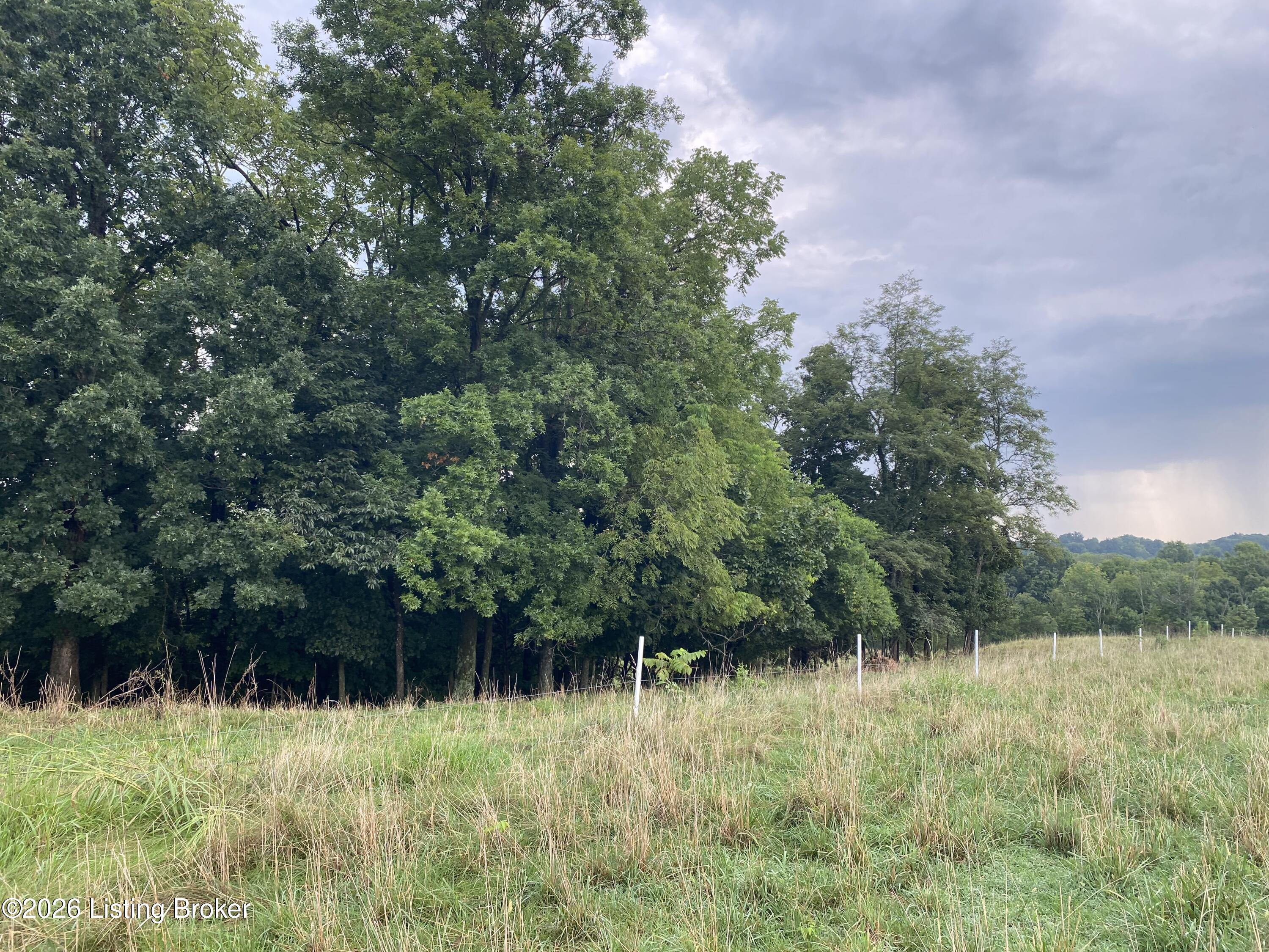 4898 Springfield Road Bardstown, KY 40004 - Photo 61 of 72 IMG_1927