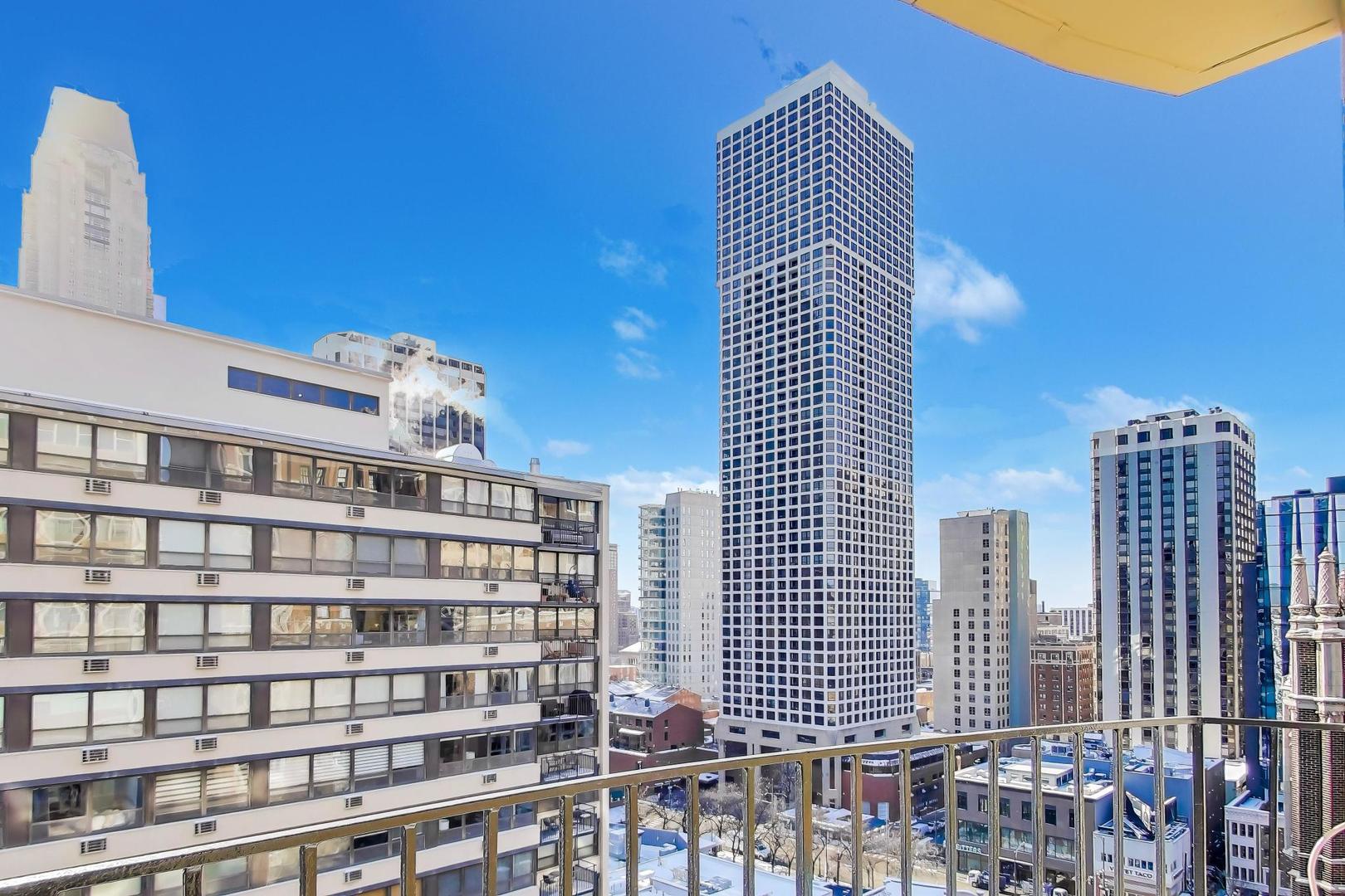 40 East Cedar Street, Unit 18B Chicago, IL 60611 - Photo 19 of 24 a front view of a building