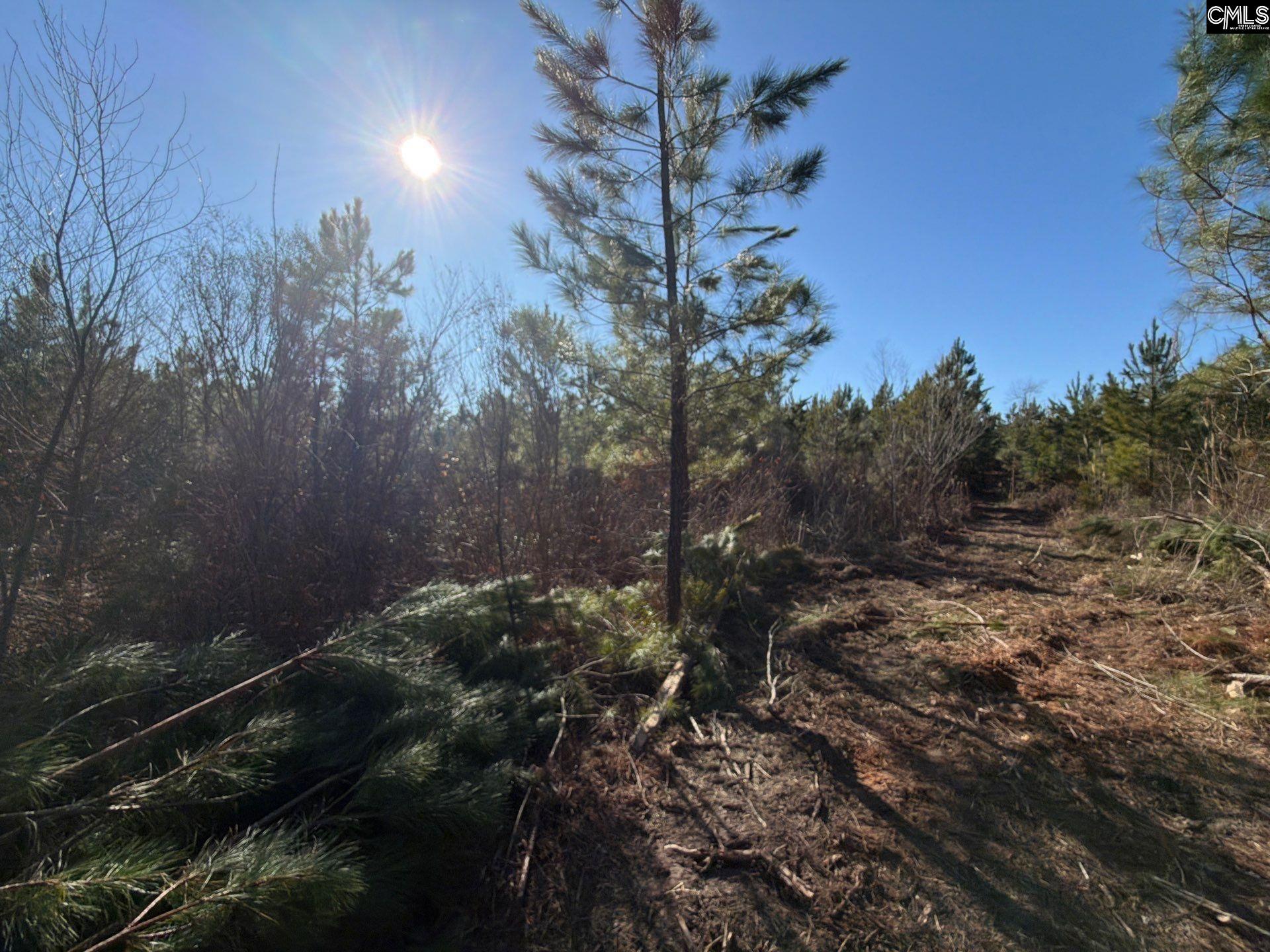 8 Brunson Teal Road, Unit BFF II 8 Patrick, SC 29584 - Photo 13 of 25