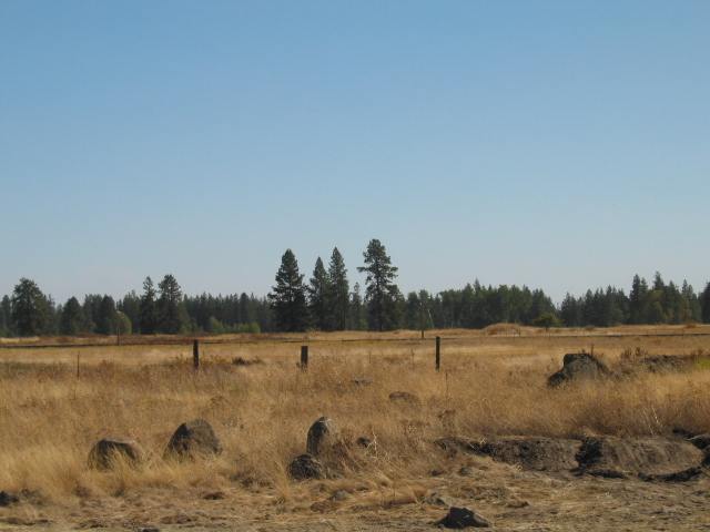 17425 West Lance Hill Road Cheney, WA 99004 - Photo 8 of 9