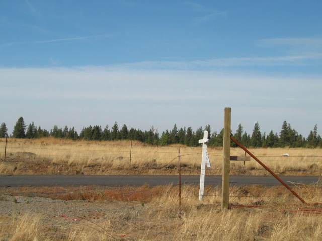 17425 West Lance Hill Road Cheney, WA 99004 - Photo 9 of 9