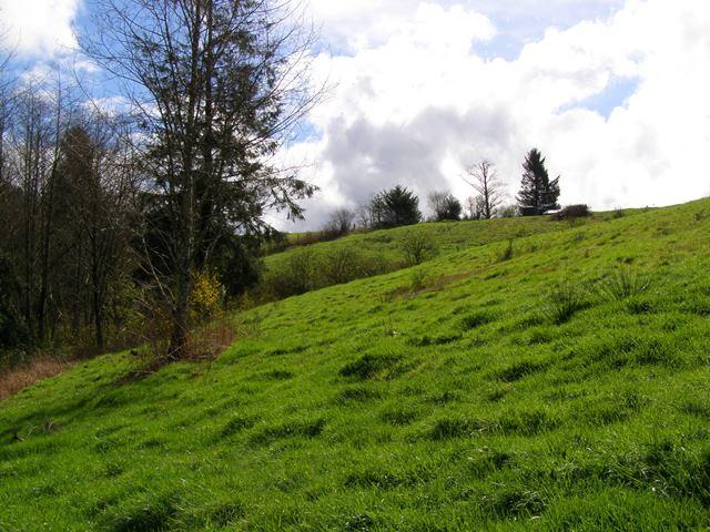 41 Skyview Road Tillamook, OR 97141 - Photo 20 of 33 P3180281