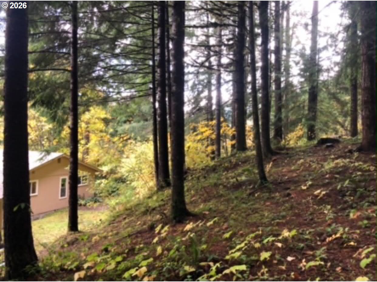 76672 La Duke Road Westfir, OR 97492 - Photo 19 of 22