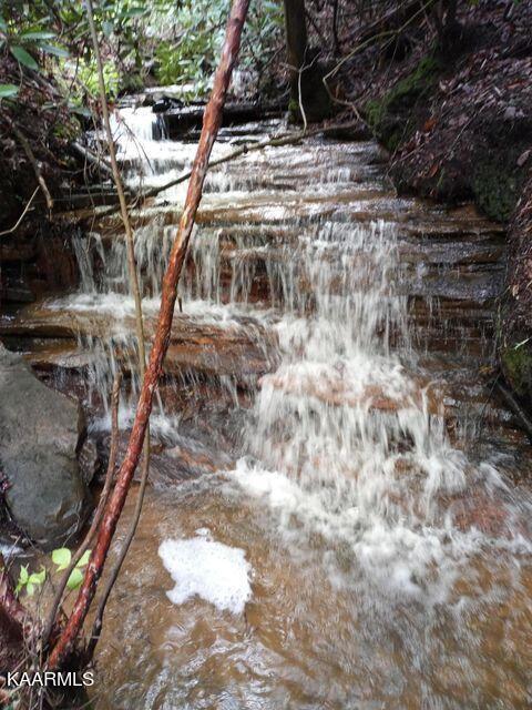 1398 Panther Branch Road Jamestown, TN 38556 - Photo 18 of 56 waterfall panther branch (1)