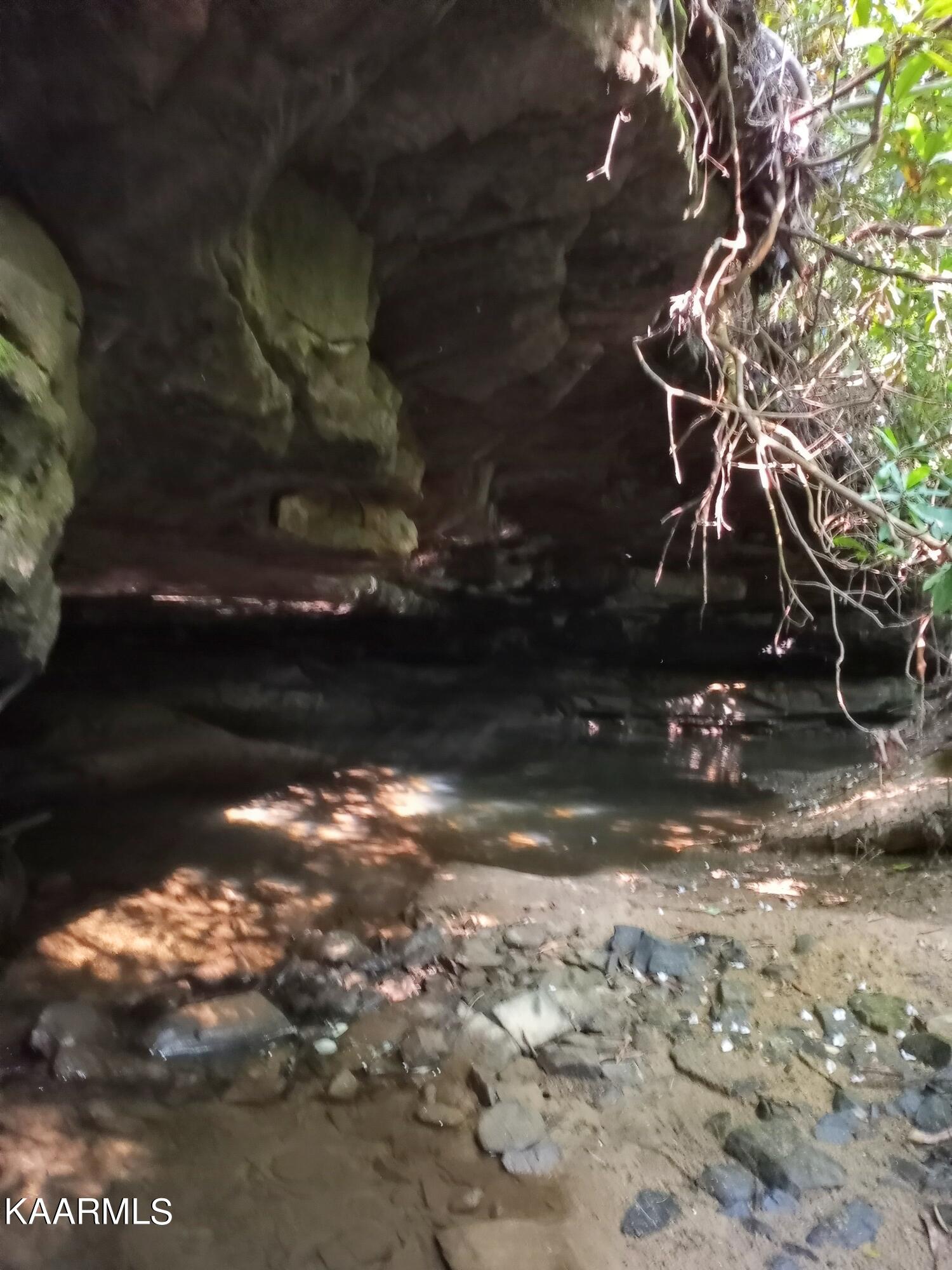 1398 Panther Branch Road Jamestown, TN 38556 - Photo 19 of 56 waterfall