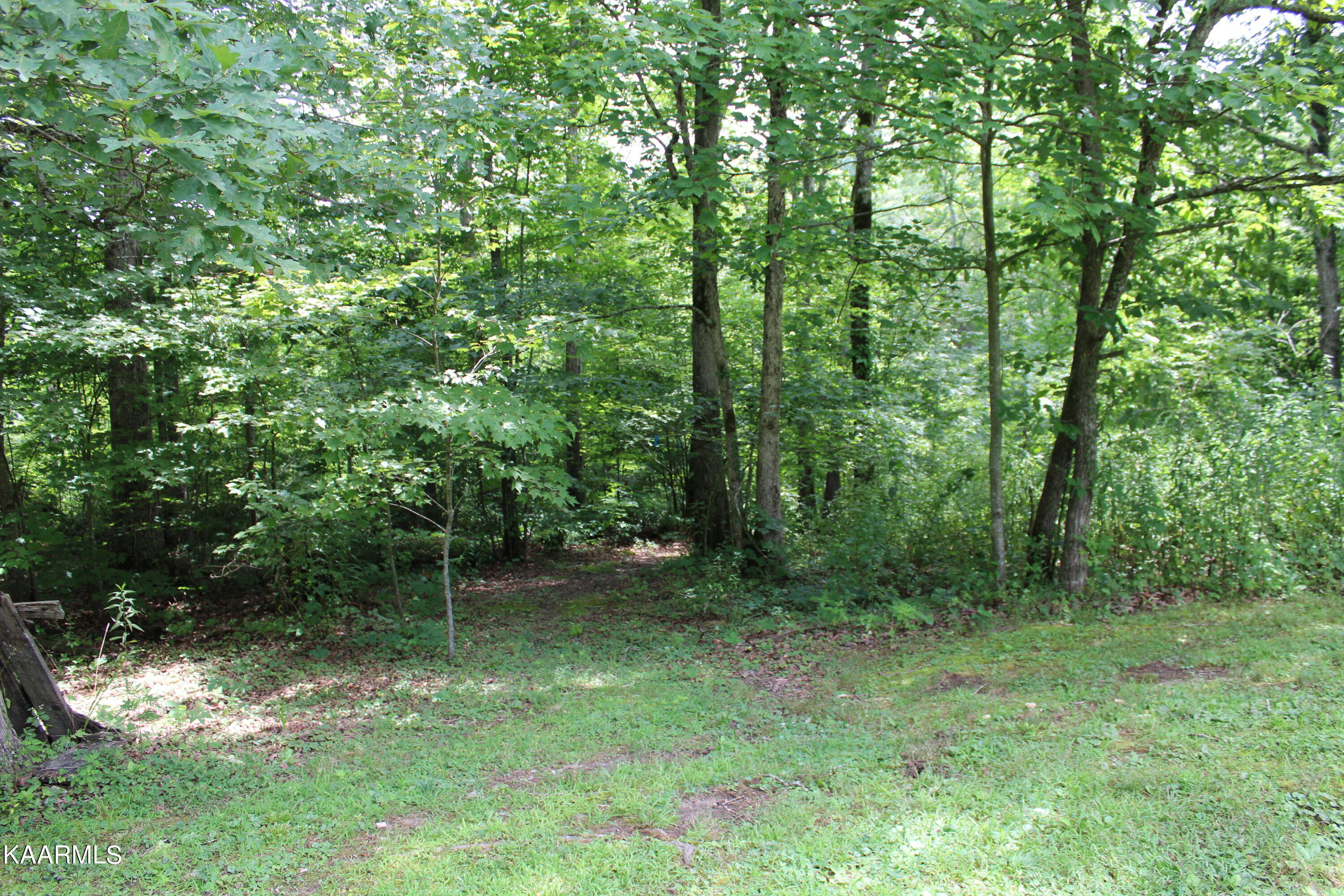 1398 Panther Branch Road Jamestown, TN 38556 - Photo 24 of 56 IMG_0942