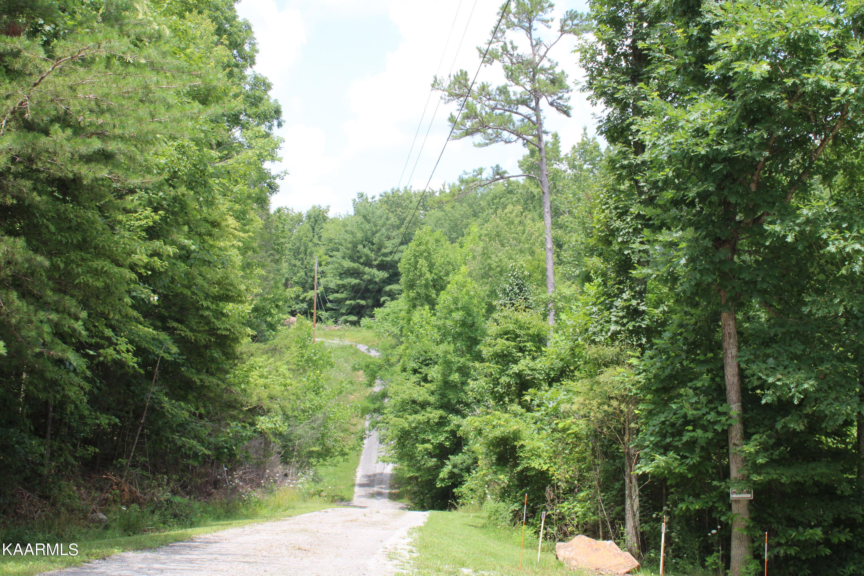 1398 Panther Branch Road Jamestown, TN 38556 - Photo 28 of 56 IMG_0930