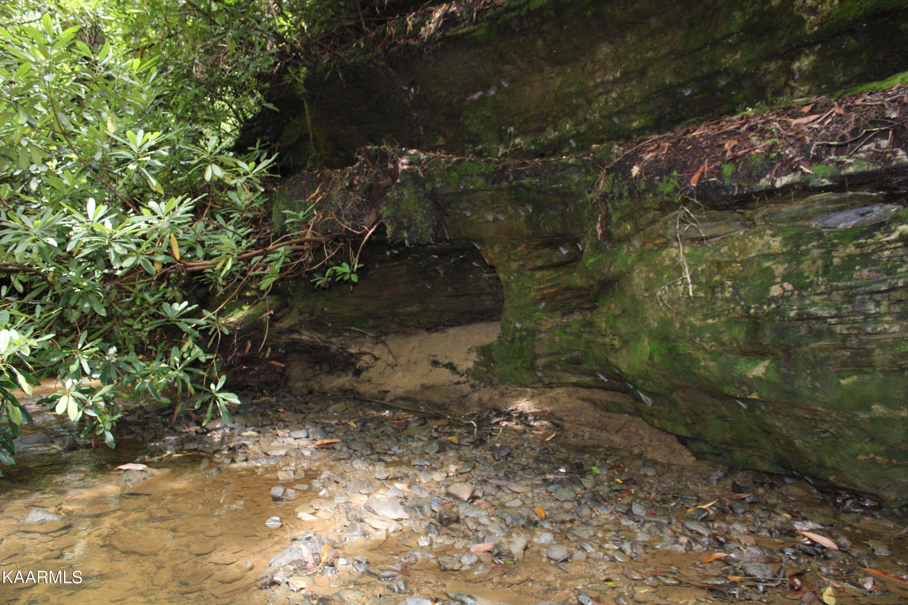 1398 Panther Branch Road Jamestown, TN 38556 - Photo 34 of 56 IMG_0911