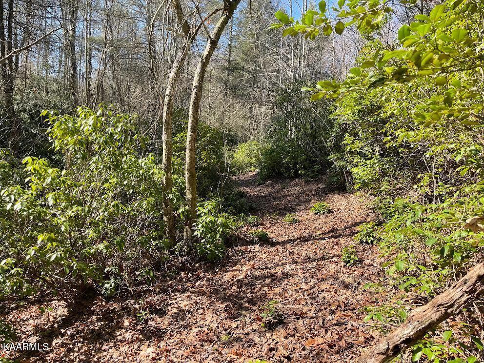 1398 Panther Branch Road Jamestown, TN 38556 - Photo 35 of 56 0-6
