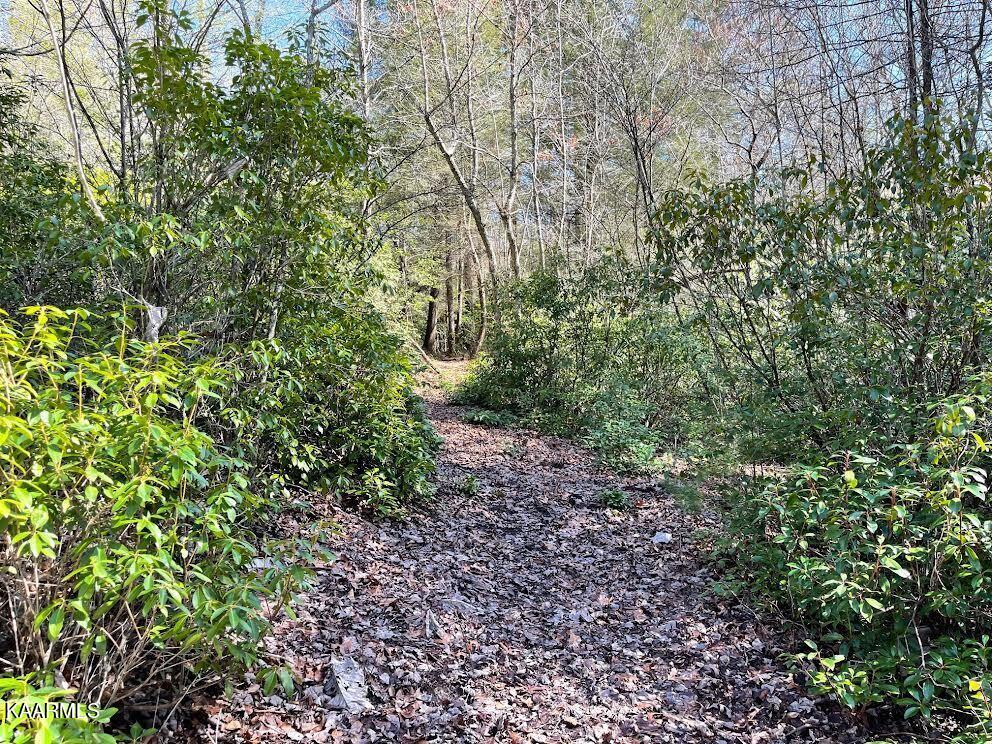 1398 Panther Branch Road Jamestown, TN 38556 - Photo 36 of 56 0-5