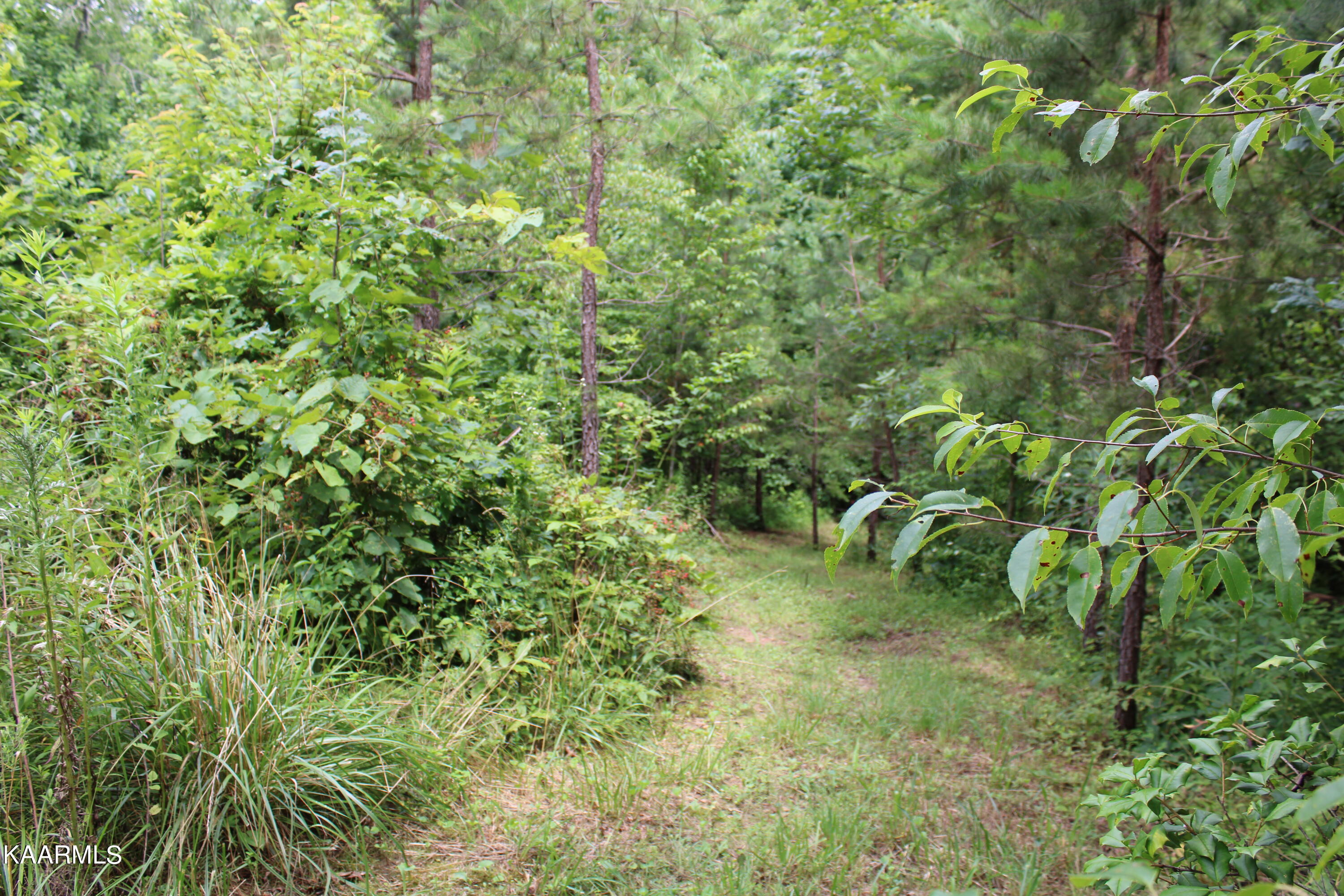 1398 Panther Branch Road Jamestown, TN 38556 - Photo 38 of 56 IMG_0839