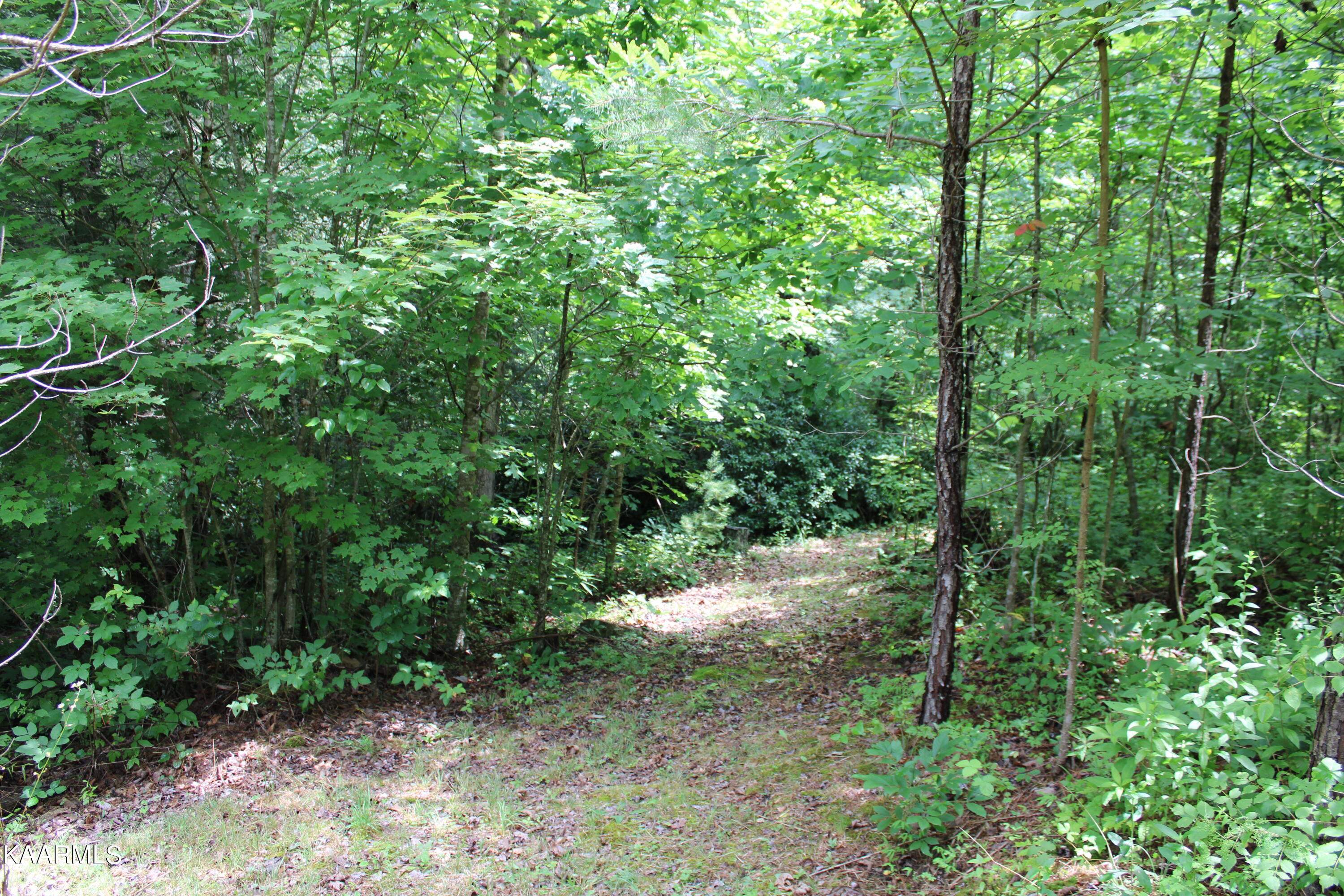 1398 Panther Branch Road Jamestown, TN 38556 - Photo 39 of 56 IMG_0843