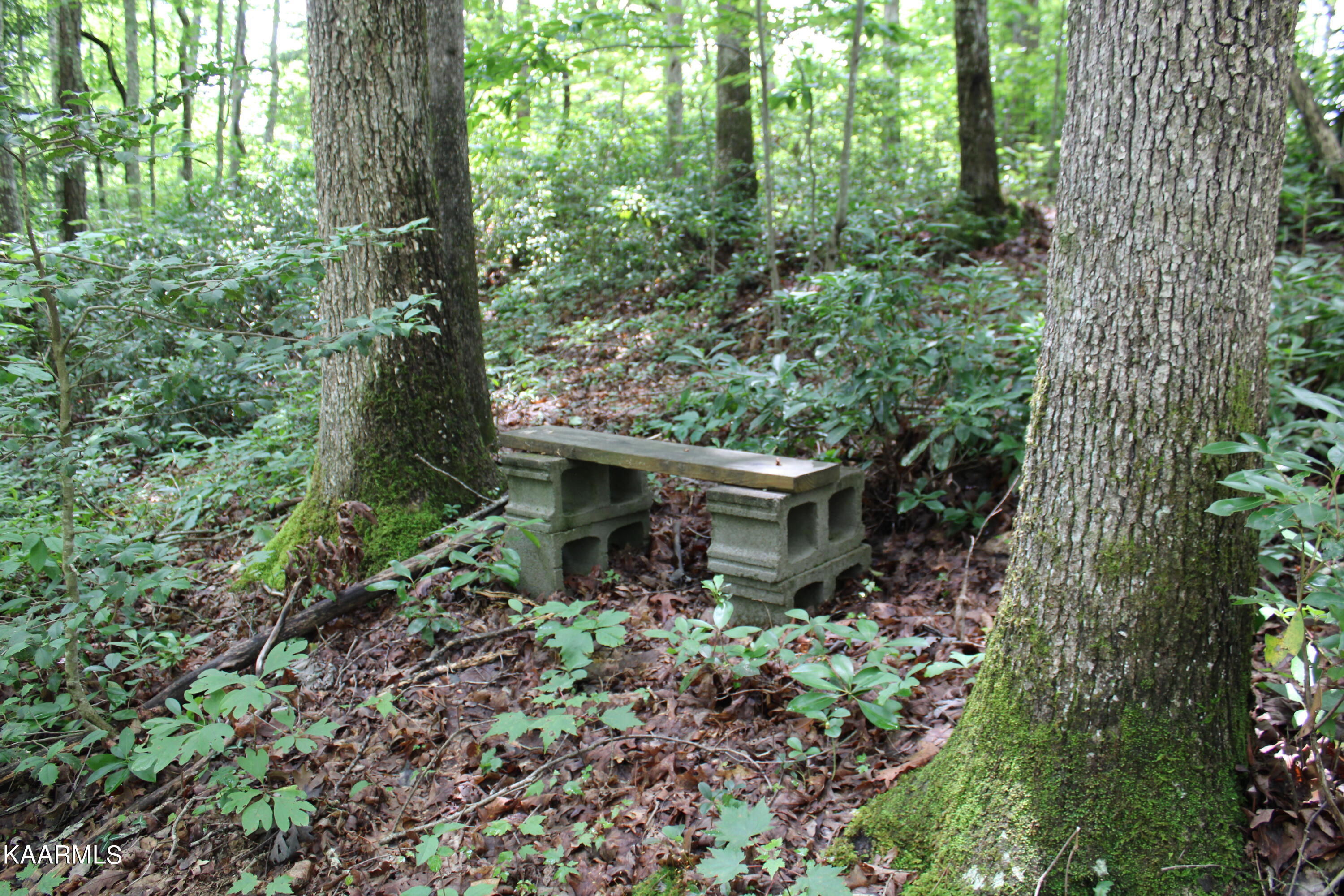 1398 Panther Branch Road Jamestown, TN 38556 - Photo 42 of 56 IMG_0889
