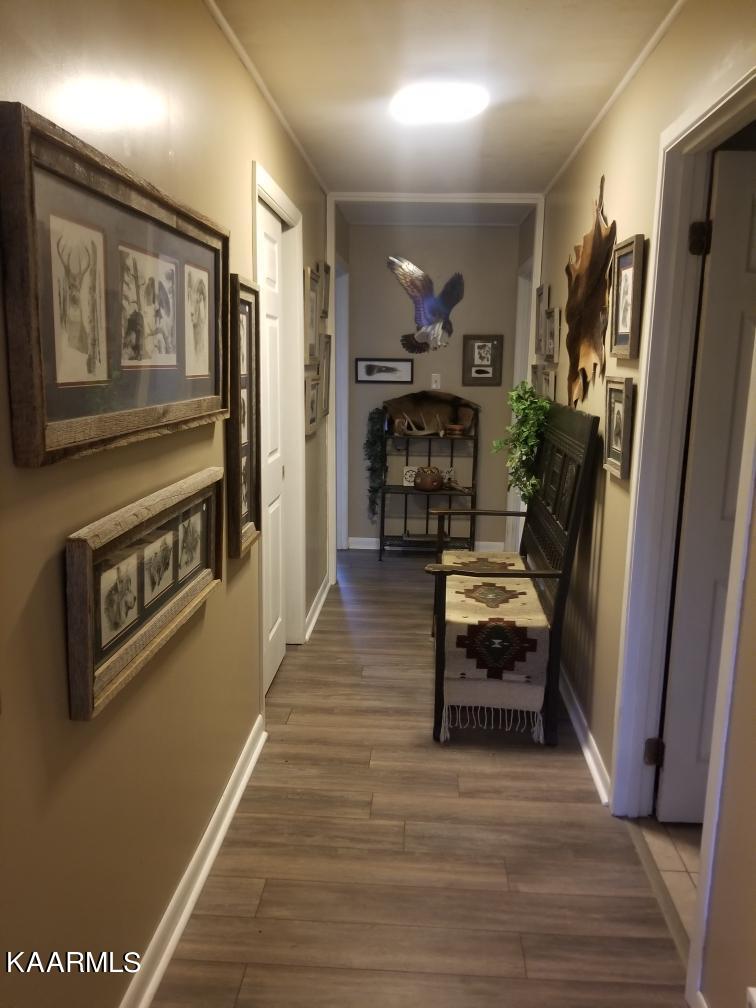 1398 Panther Branch Road Jamestown, TN 38556 - Photo 44 of 56 hallway