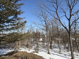 8874 Rte 9W Athens, NY 12015 - Photo 35 of 53 IMG_4951 Small