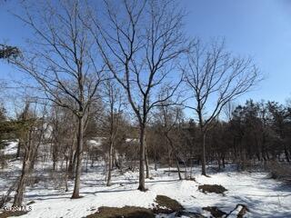 8874 Rte 9W Athens, NY 12015 - Photo 38 of 53 IMG_4949 Small