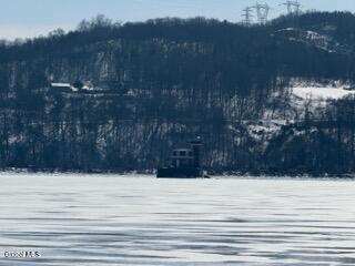 8874 Rte 9W Athens, NY 12015 - Photo 49 of 53 IMG_4930 Small