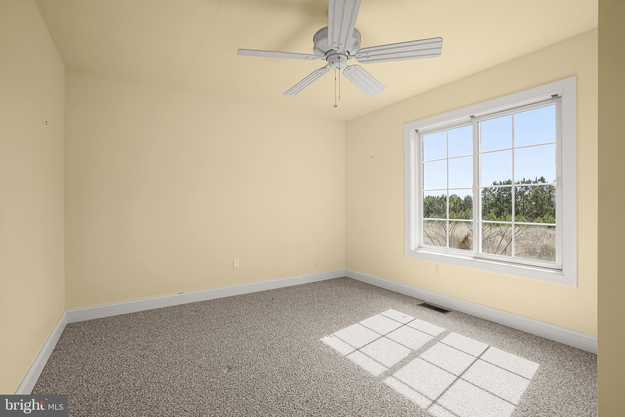 5301 Cassons Neck Road Cambridge, MD 21613 - Photo 38 of 71 Gallery Image 38