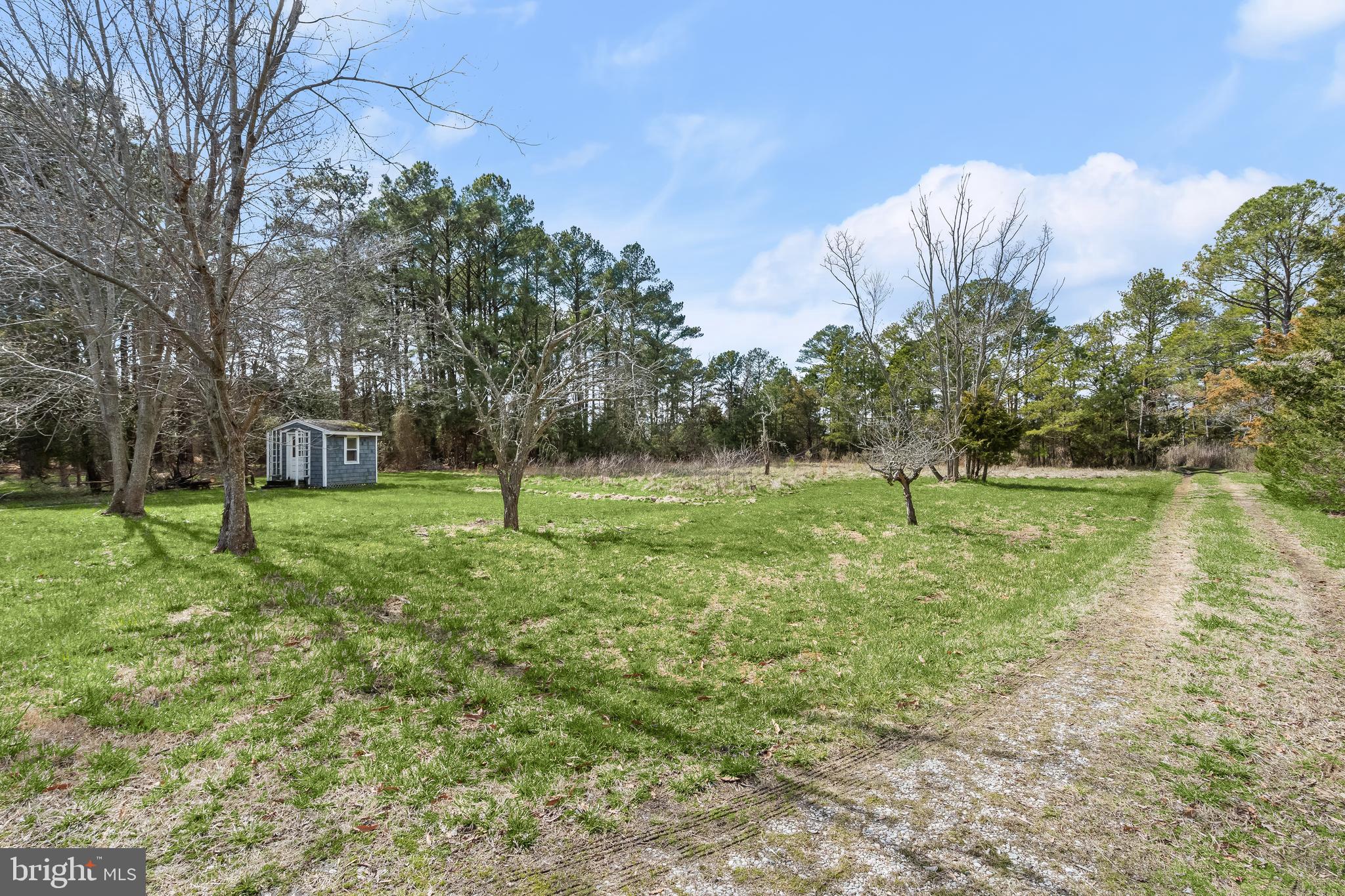 5301 Cassons Neck Road Cambridge, MD 21613 - Photo 63 of 71 Gallery Image 63