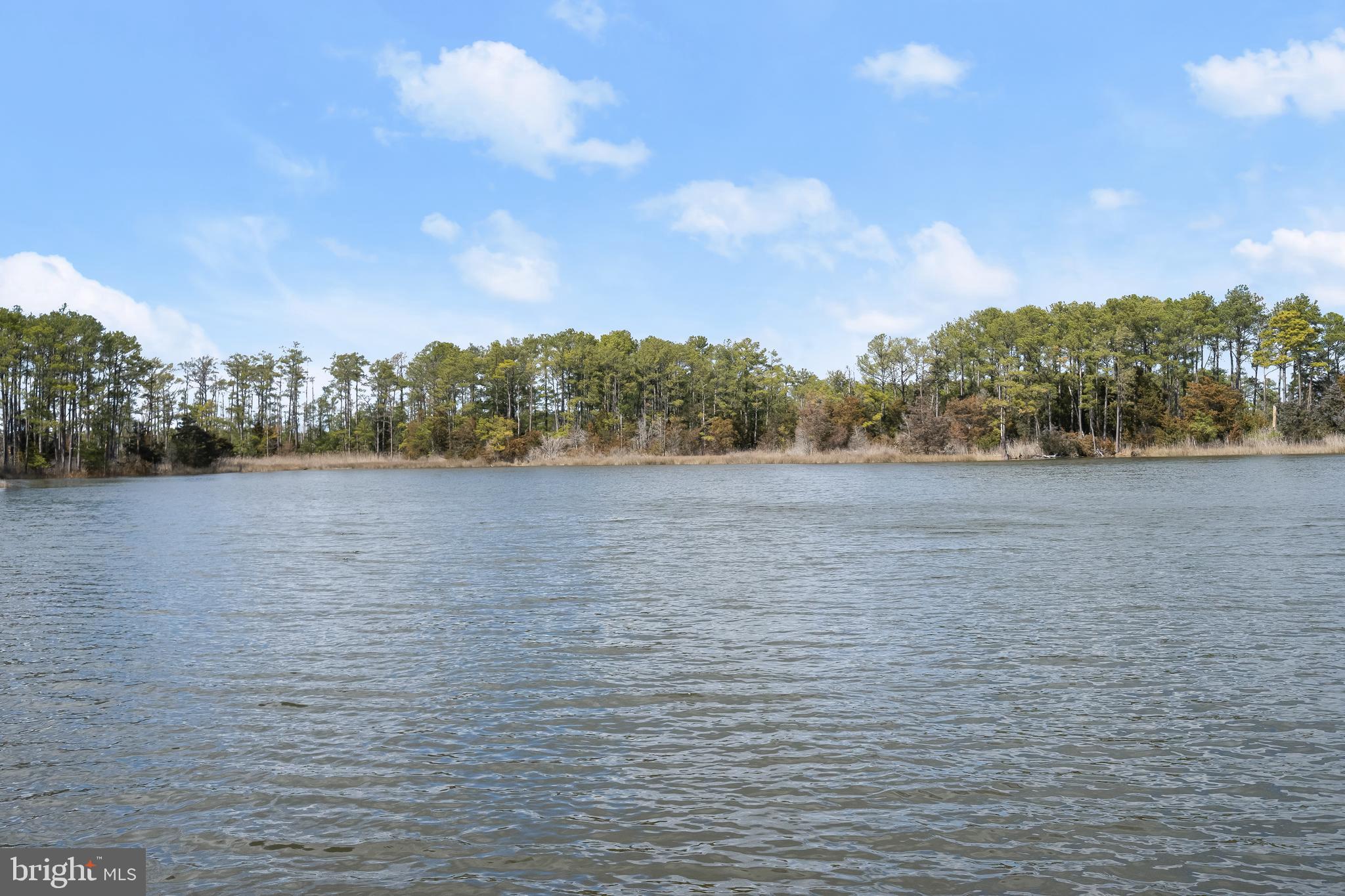 5301 Cassons Neck Road Cambridge, MD 21613 - Photo 68 of 71 Gallery Image 68