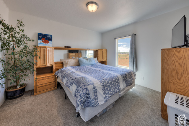 17 South Green Haven Road, Unit 2 La Sal, UT 84530 - Photo 21 of 32
