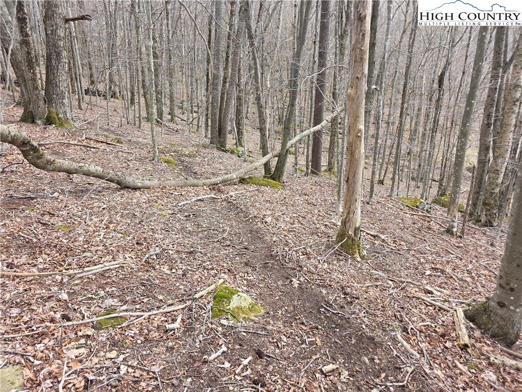109 Hawthorne Road Beech Mountain, NC 28604 - Photo 10 of 10 a view of a backyard with trees