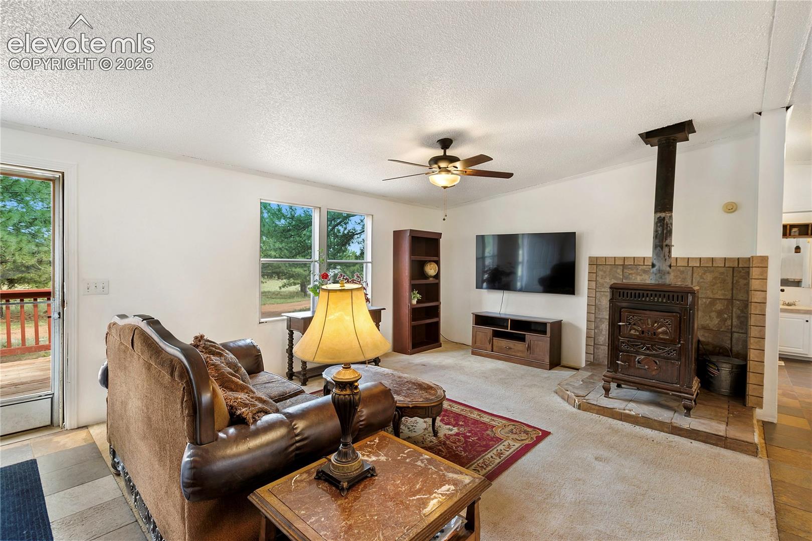 1395 Doe Valley Road Guffey, CO 80820 - Photo 10 of 43 Gallery Image 10