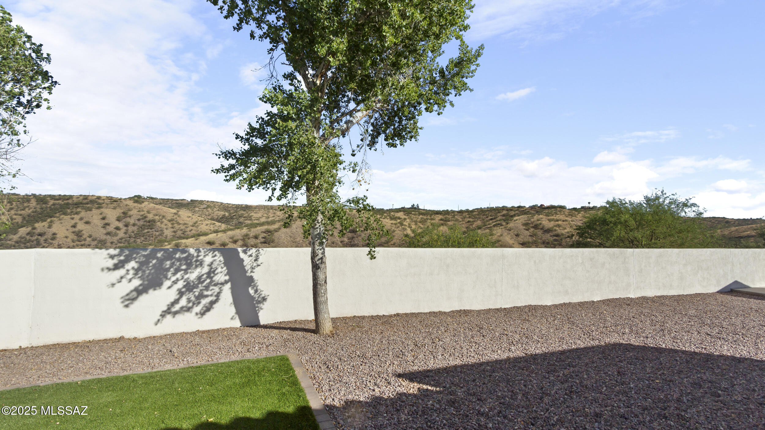 641 Calle Lukas Rio Rico, AZ 85648 - Photo 41 of 51